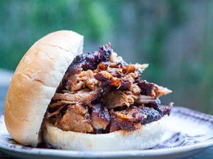 bbq pulled pork shoulder on a burger bun sitting on a plate
